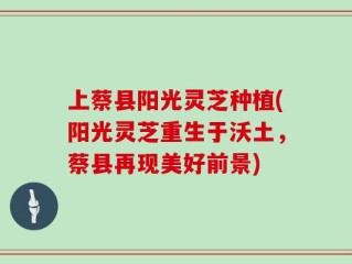 上蔡县阳光灵芝种植(阳光灵芝重生于沃土，蔡县再现美好前景)