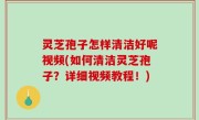 灵芝孢子怎样清洁好呢视频(如何清洁灵芝孢子？详细视频教程！)
