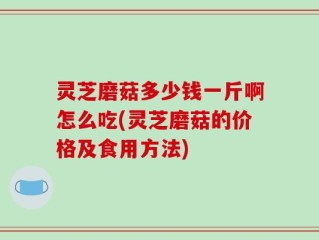 灵芝磨菇多少钱一斤啊怎么吃(灵芝磨菇的价格及食用方法)