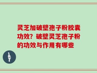 灵芝加破壁孢子粉胶囊功效？破壁灵芝孢子粉的功效与作用有哪些