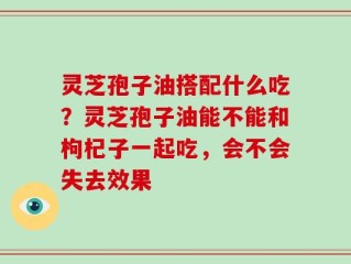 灵芝孢子油搭配什么吃？灵芝孢子油能不能和枸杞子一起吃，会不会失去效果