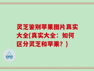灵芝鉴别苹果图片真实大全(真实大全：如何区分灵芝和苹果？)