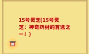 15号灵芝(15号灵芝：神奇药材的首选之一！)