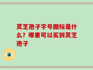 灵芝孢子字号图标是什么？哪里可以买到灵芝孢子
