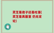灵芝是孢子还是吃茎(灵芝是真菌茎 仍无定论)