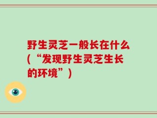野生灵芝一般长在什么(“发现野生灵芝生长的环境”)