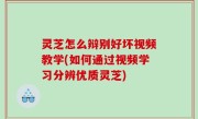 灵芝怎么辩别好坏视频教学(如何通过视频学习分辨优质灵芝)