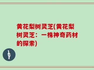 黄花梨树灵芝(黄花梨树灵芝：一株神奇药材的探索)