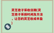 灵芝孢子采收日期(灵芝孢子采摘时间及方法，让您的灵芝收成丰盈)