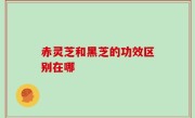 赤灵芝和黑芝的功效区别在哪