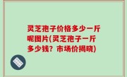 灵芝孢子价格多少一斤呢图片(灵芝孢子一斤多少钱？市场价揭晓)