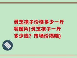 灵芝孢子价格多少一斤呢图片(灵芝孢子一斤多少钱？市场价揭晓)