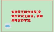 安徽灵芝菌包批发(安徽批发灵芝菌包，新鲜美味营养丰富)