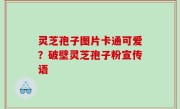 灵芝孢子图片卡通可爱？破壁灵芝孢子粉宣传语