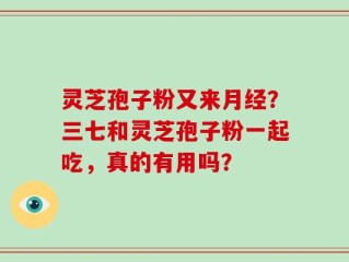 灵芝孢子粉又来月经？三七和灵芝孢子粉一起吃，真的有用吗？