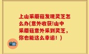 上山采蘑菇发现灵芝怎么办(意外收获!山中采蘑菇意外采到灵芝，你也能这么幸运！)