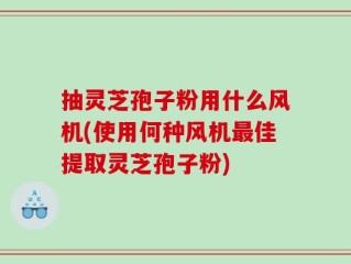 抽灵芝孢子粉用什么风机(使用何种风机最佳提取灵芝孢子粉)
