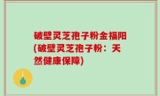 破壁灵芝孢子粉金福阳(破壁灵芝孢子粉：天然健康保障)
