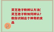 灵芝孢子粉辨认方法(灵芝孢子粉如何辨认？教你识别这个神奇的食品