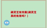 藏灵芝有效果(藏灵芝真的有用吗？)