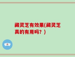 藏灵芝有效果(藏灵芝真的有用吗？)