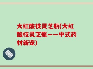 大红酸枝灵芝瓶(大红酸枝灵芝瓶——中式药材新宠)