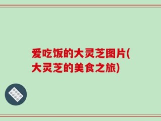 爱吃饭的大灵芝图片(大灵芝的美食之旅)