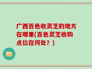 广西百色收灵芝的地方在哪里(百色灵芝收购点位在何处？)
