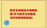 黑灵芝种植技术视频教程(学习黑灵芝种植技术的详细视频指南)