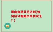 那曲虫草灵芝区别(如何区分那曲虫草和灵芝？)