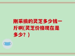 刚采摘的灵芝多少钱一斤啊(灵芝价格现在是多少？)