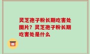 灵芝孢子粉长期吃害处图片？灵芝孢子粉长期吃害处是什么
