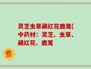 灵芝虫草藏红花鹿茸(中药材：灵芝、虫草、藏红花、鹿茸