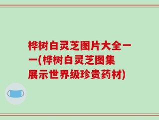 桦树白灵芝图片大全一一(桦树白灵芝图集 展示世界级珍贵药材)