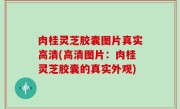 肉桂灵芝胶囊图片真实高清(高清图片：肉桂灵芝胶囊的真实外观)