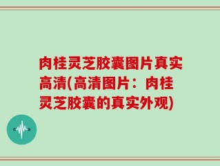 肉桂灵芝胶囊图片真实高清(高清图片：肉桂灵芝胶囊的真实外观)