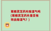 葛根灵芝药片除湿气吗(葛根灵芝药片是否有效去除湿气？)
