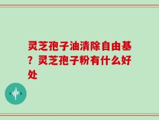 灵芝孢子油清除自由基？灵芝孢子粉有什么好处
