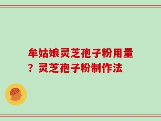 牟姑娘灵芝孢子粉用量？灵芝孢子粉制作法
