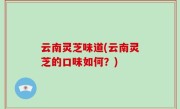 云南灵芝味道(云南灵芝的口味如何？)
