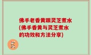 佛手老香黄跟灵芝煮水(佛手香黄与灵芝煮水的功效和方法分享)