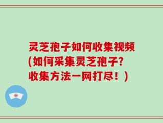 灵芝孢子如何收集视频(如何采集灵芝孢子？收集方法一网打尽！)