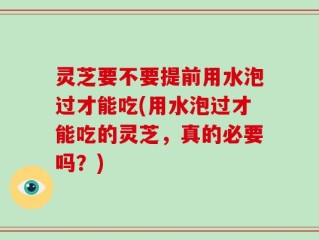 灵芝要不要提前用水泡过才能吃(用水泡过才能吃的灵芝，真的必要吗？)
