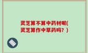灵芝算不算中药材呢(灵芝算作中草药吗？)