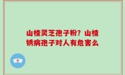 山楂灵芝孢子粉？山楂锈病孢子对人有危害么