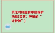 灵芝对肝脏有哪些保护功能(灵芝：肝脏的“守护神”)