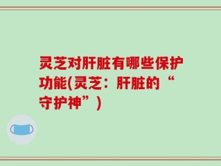 灵芝对肝脏有哪些保护功能(灵芝：肝脏的“守护神”)