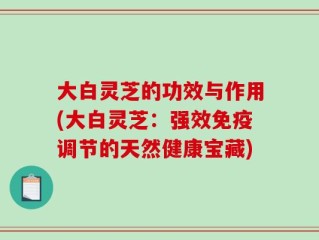 大白灵芝的功效与作用(大白灵芝：强效免疫调节的天然健康宝藏)