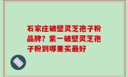 石家庄破壁灵芝孢子粉品牌？紫一破壁灵芝孢子粉到哪里买最好