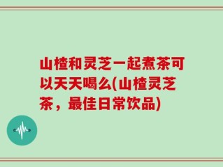 山楂和灵芝一起煮茶可以天天喝么(山楂灵芝茶，最佳日常饮品)